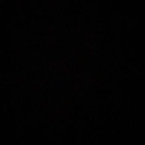 Meet your Posher, Ella